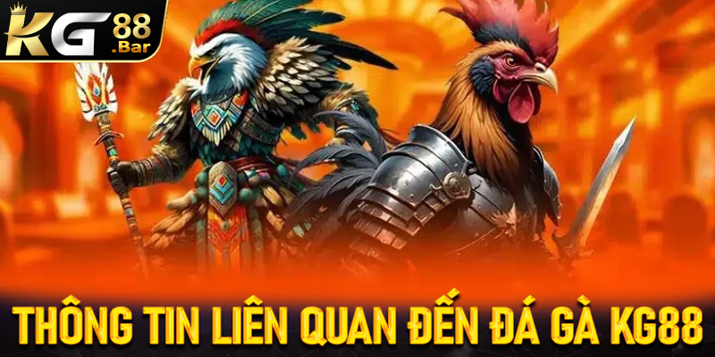 Một vài thông tin có liên quan đến sàn cá cược đá gà KG88
