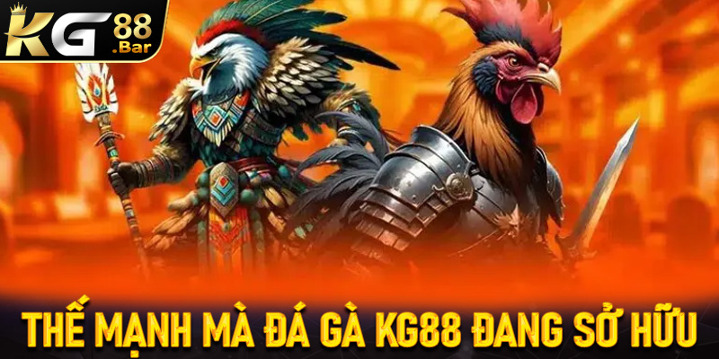 Những thế mạnh hiện sảnh đá gà KG88 đang sở hữu