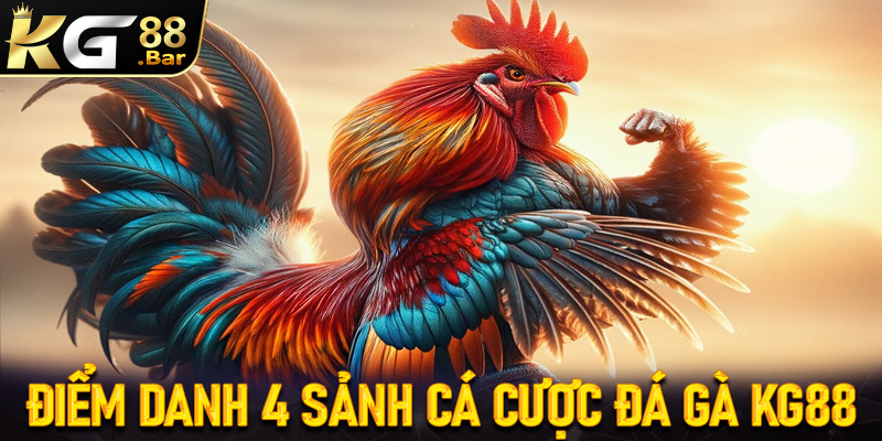 Điểm danh 4 sảnh cá cược đá gà KG88 được chơi nhiều nhất hiện nay